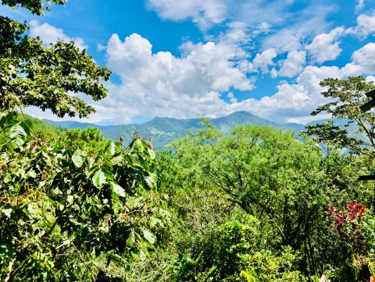 Beautiful tropical highlands of Oaxaca